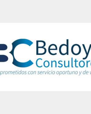 Bedoya Consultores